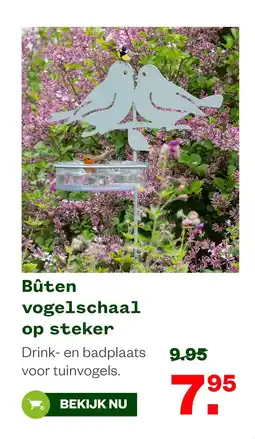 Welkoop Bûten vogelschaal op steker aanbieding