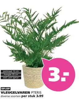 Ranzijn VLEUGELVAREN PTERIS aanbieding