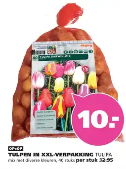 Ranzijn Tulpen in XXL verpakking tulipa aanbieding