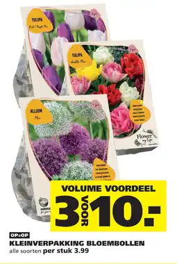 Ranzijn Kleinverpakking bloembollen aanbieding