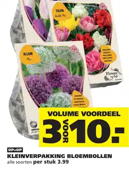 Ranzijn KLEINVERPAKKING BLOEMBOLLEN aanbieding