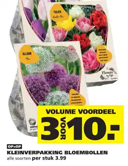 Ranzijn KLEINVERPAKKING BLOEMBOLLEN aanbieding