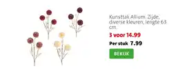 Intratuin Kunsttak Allium. Zijde, diverse kleuren, lengte 63 cm. aanbieding