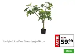 Intratuin Kunstplant Schefflera. Groen, hoogte 144 cm. aanbieding