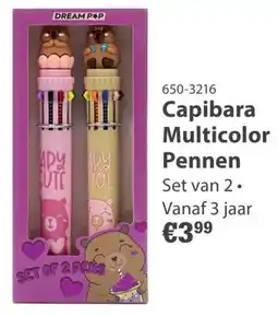 Toys2Play Capibara Multicolor Pennen aanbieding