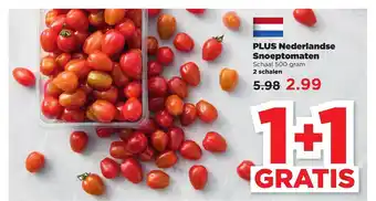 PLUS Plus nederlandse snoeptomaten 1+1 Gratis aanbieding