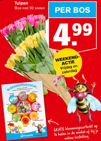 Hoogvliet Tulpen aanbieding