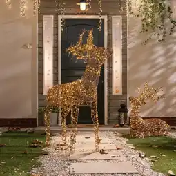 Action Staand rendier met kerstverlichting - voor buiten aanbieding