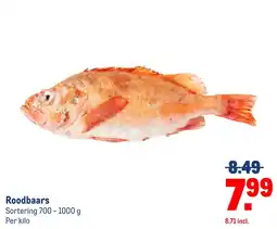 Makro Roodbaars aanbieding