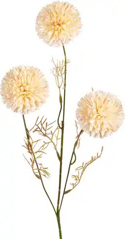 Intratuin Tina kunstbloem Sierui crème H 63 cm aanbieding