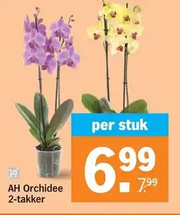Albert Heijn AH Orchidee 2-takker aanbieding