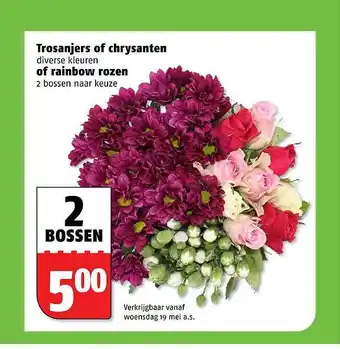 Poiesz Trosanjers F chrysanten of rainbow rozen aanbieding