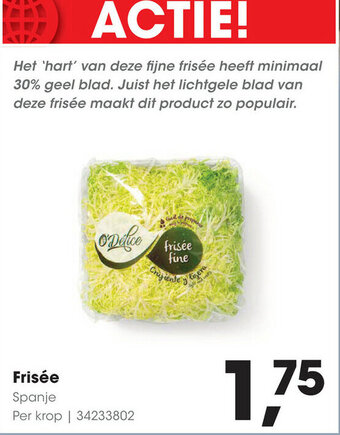 HANOS Frisee aanbieding