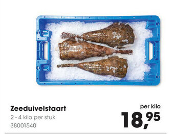 HANOS Zeeduivelstaart aanbieding