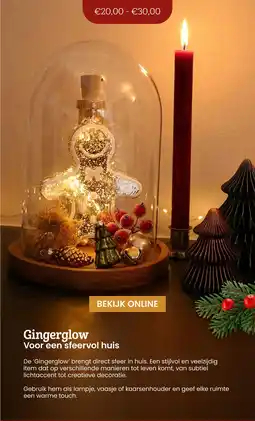 Makro Gingerglow Voor een sfeervol huis aanbieding