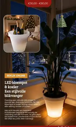 Makro LED bloempot & koeler Een stijlvolle blikvanger aanbieding