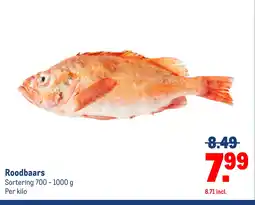 Makro Roodbaars aanbieding