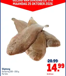 Makro Sliptong aanbieding