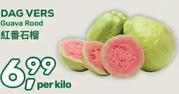 Amazing Oriëntal Dag vers guava rood aanbieding