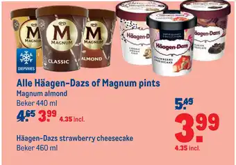 Makro Alle häagen-dazs of magnum pints aanbieding