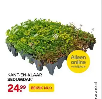 Praxis Kant-en-klaar sedumdak aanbieding