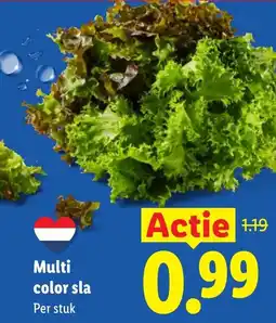 Lidl Multi color sla aanbieding
