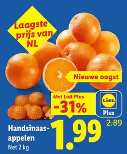 Lidl Handsinaasappelen aanbieding