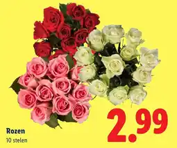Lidl Rozen aanbieding