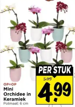Vomar Voordeelmarkt Mini Orchidee in Keramiek aanbieding