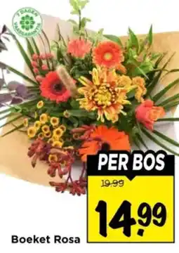 Vomar Voordeelmarkt Boeket Rosa aanbieding