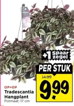 Vomar Voordeelmarkt Tradescantia Hangplant aanbieding
