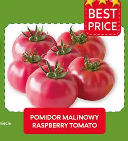Food Plus Raspberry tomato aanbieding