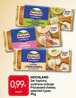 Food Plus Hochland Ser topiony, wybrane rodzaje aanbieding
