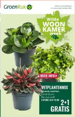 GroenRijk GroenRijk VETPLANTENMIX aanbieding