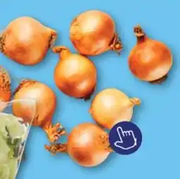 ALDI Uien aanbieding