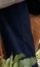 Van Dal Mannenmode Bartlett Chino aanbieding