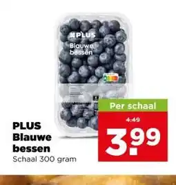 PLUS PLUS Blauwe bessen aanbieding