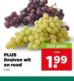 PLUS PLUS Druiven wit en rood aanbieding