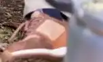 Van Dal Mannenmode Bekijk Berkelmans Schoenen aanbieding