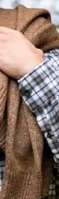Van Dal Mannenmode Bartlett Trui aanbieding
