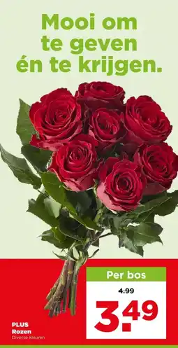 PLUS Plus rozen aanbieding