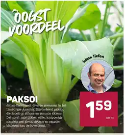 Ekoplaza Paksoi aanbieding