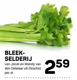 Ekoplaza bleek-selderij aanbieding