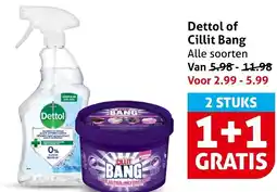 Hoogvliet Alle Dettol of Cillit Bang aanbieding