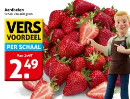 Hoogvliet Aardbeien aanbieding