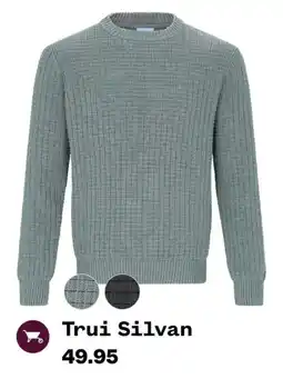 Welkoop Trui Silvan aanbieding