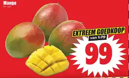 Dirk Mango aanbieding
