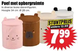 Dirk Poef met opbergruimte aanbieding