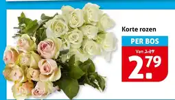 Hoogvliet Korte Rozen aanbieding