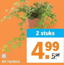 Albert Heijn AH Hedera aanbieding